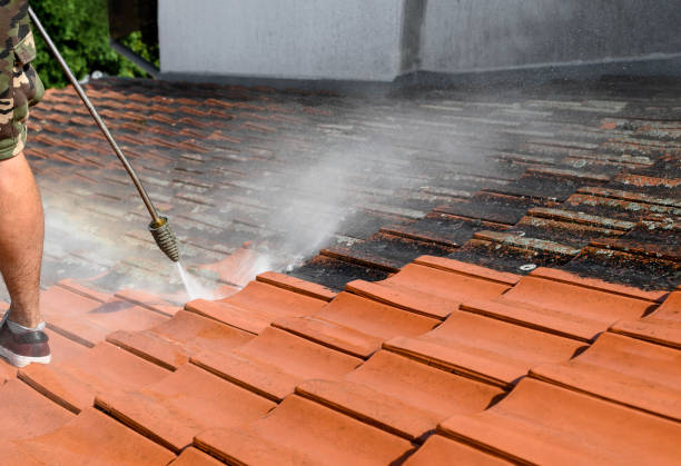 Best Local Pressure Washing Services  in West Bend, WI
